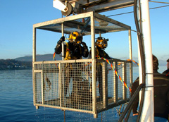 diver training courses at the professional diving academy